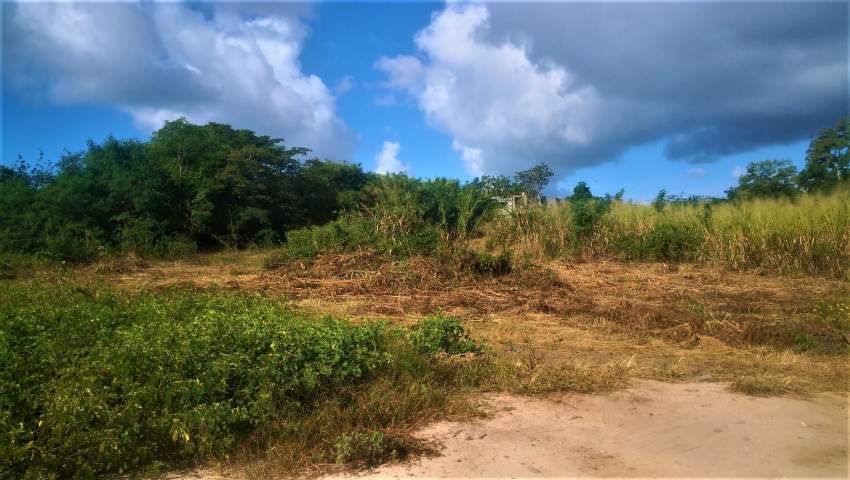 (Ref. MA7-457)  - 0 - Land  on Aster Vender