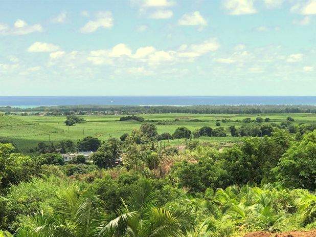 (Ref. MA7-469) Terrain agricole avec vue mer et montagne - 1 - Land  on Aster Vender