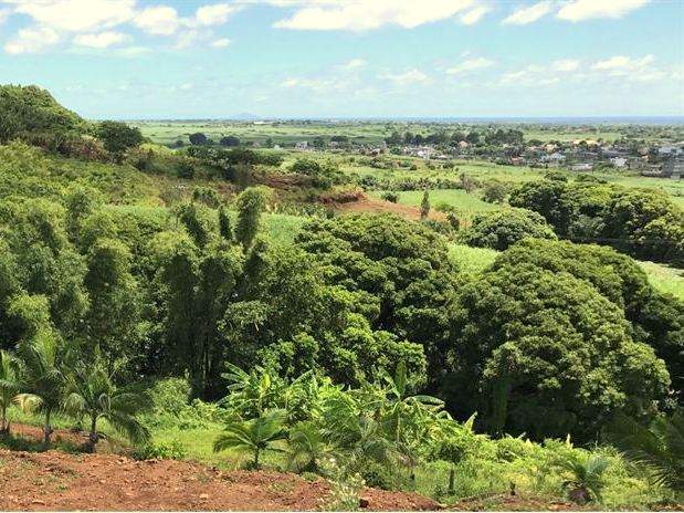 (Ref. MA7-469) Terrain agricole avec vue mer et montagne - 2 - Land  on Aster Vender