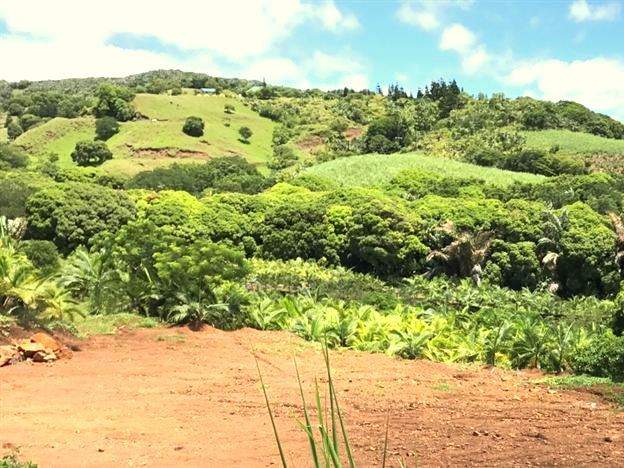 (Ref. MA7-469) Terrain agricole avec vue mer et montagne - 3 - Land  on Aster Vender