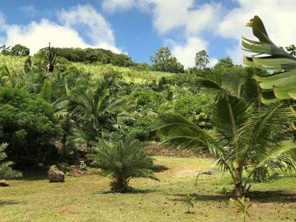 (Ref. MA7-469) Terrain agricole avec vue mer et montagne - 4 - Land  on Aster Vender