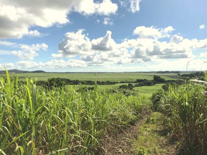 (Ref. MA7-471) Terrain agricole avec une belle vue - 2 - Land  on Aster Vender