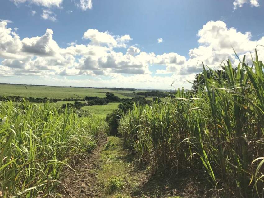 (Ref. MA7-471) Terrain agricole avec une belle vue - 3 - Land  on Aster Vender