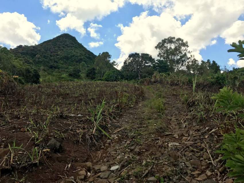(Ref. MA7-471) Terrain agricole avec une belle vue - 5 - Land  on Aster Vender