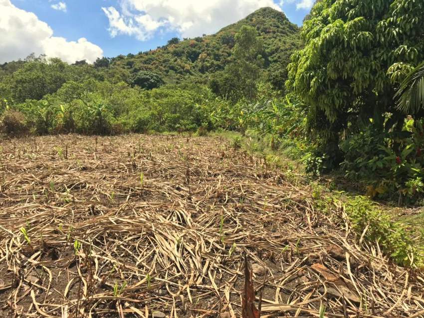 (Ref. MA7-471) Terrain agricole avec une belle vue - 6 - Land  on Aster Vender