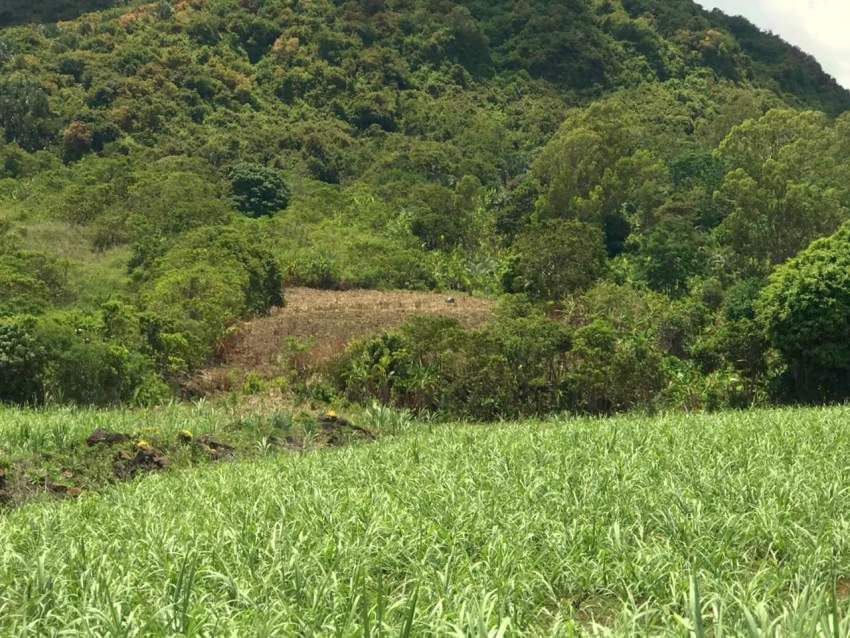 (Ref. MA7-471) Terrain agricole avec une belle vue - 4 - Land  on Aster Vender