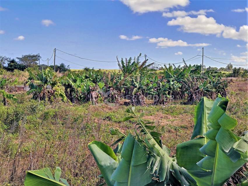 (Ref. MA7-477) Grand terrain résidentiel proche de la plage publique - 5 - Land  on Aster Vender