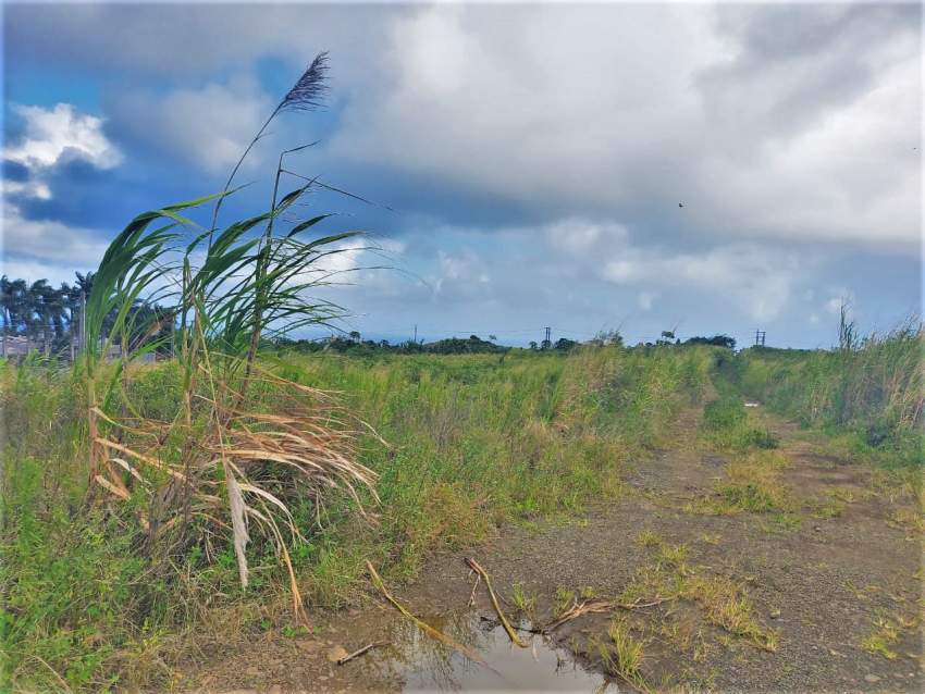 (Ref. MA7-490) Terrain agricole avec vue sur les montagnes  - 1 - Land  on Aster Vender