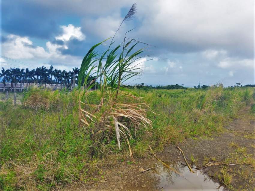 (Ref. MA7-490) Terrain agricole avec vue sur les montagnes  - 0 - Land  on Aster Vender