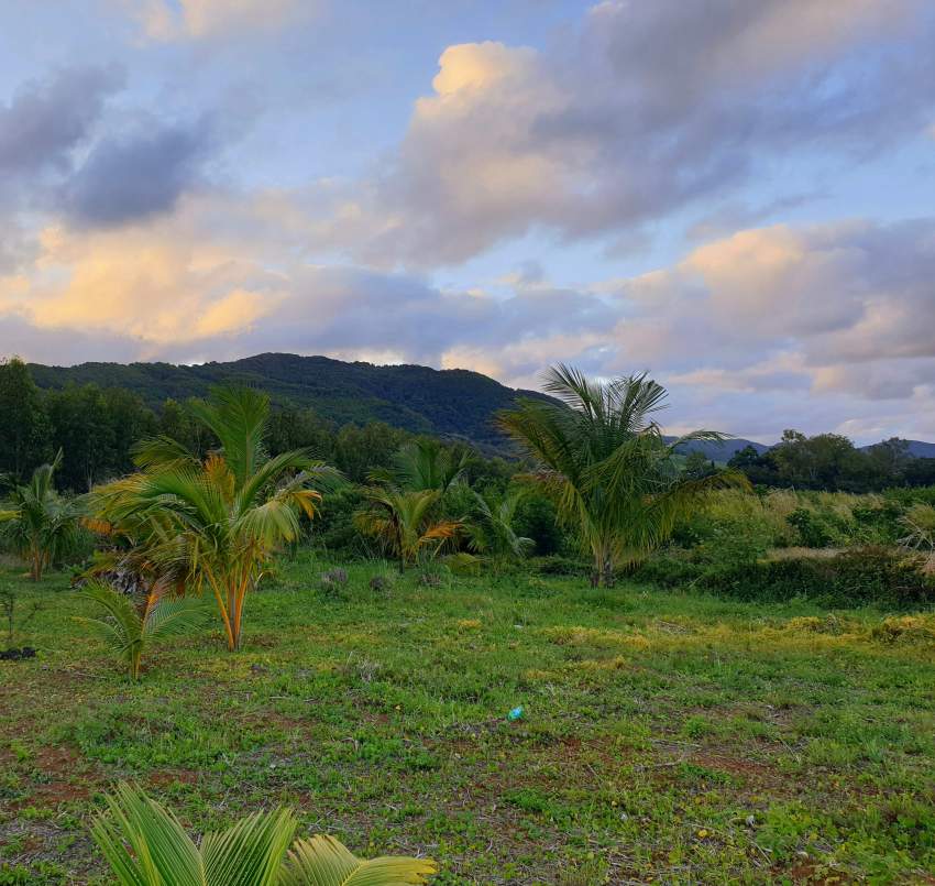 Residential land (14 perches)  - 3 - Land  on Aster Vender