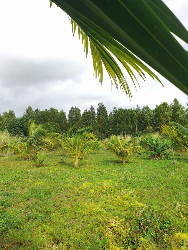 Residential land (14 perches)  - 4 - Land  on Aster Vender