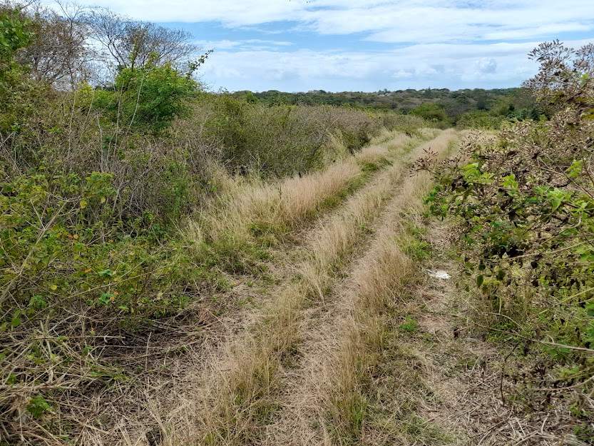 Agricultural Land - 2 - Land  on Aster Vender