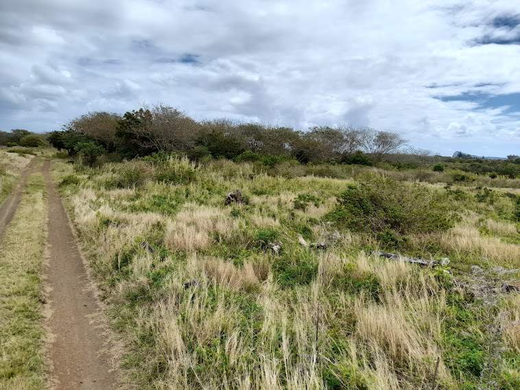 Agricultural Land - 0 - Land  on Aster Vender