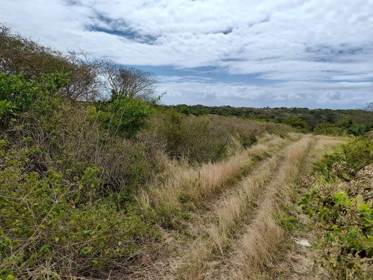 Agricultural Land - 1 - Land  on Aster Vender