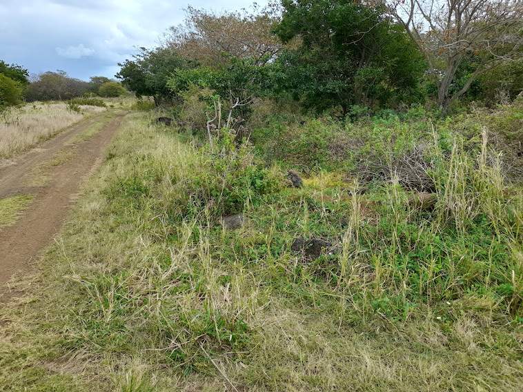 Agricultural Land - 3 - Land  on Aster Vender