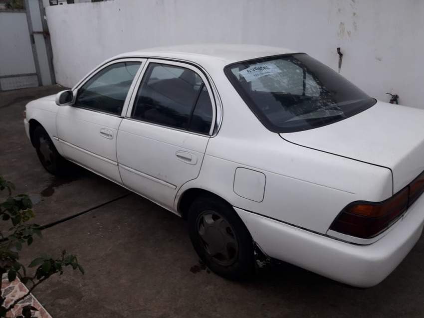 Toyota Corolla  - 6 - Family Cars  on Aster Vender