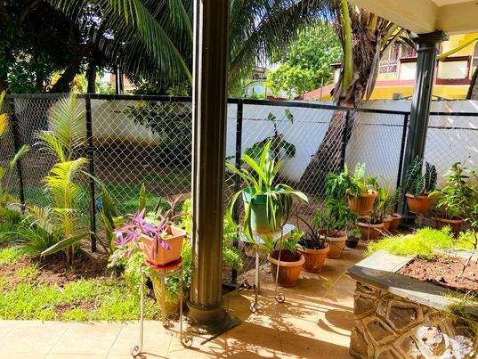 FULLY FURNISHED HOUSE ON SALE AT RIAMBEL- RS 10 M NEG - 3 - House  on Aster Vender