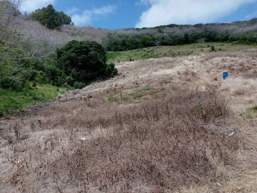 Agricultural land for sale  - 4 - Land  on Aster Vender