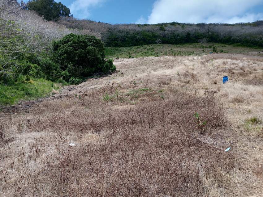 Agricultural land for sale  - 5 - Land  on Aster Vender