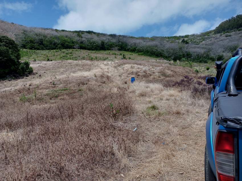 Agricultural land for sale  - 3 - Land  on Aster Vender