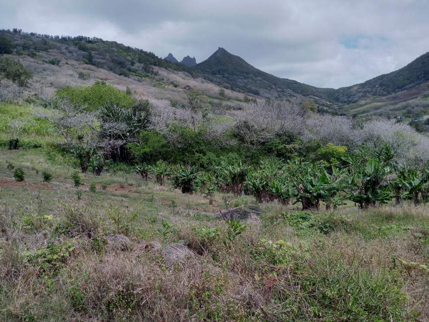 Agricultural land for sale on Aster Vender