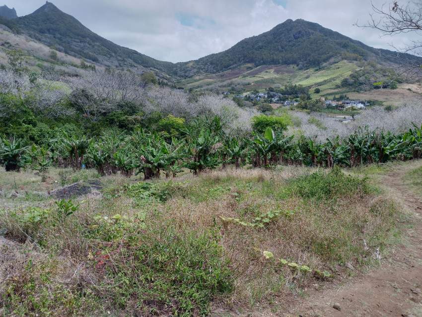 Agricultural land for sale  - 2 - Land  on Aster Vender