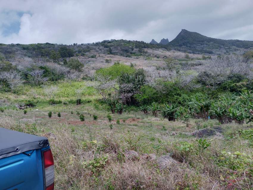 Agricultural land for sale  - 1 - Land  on Aster Vender