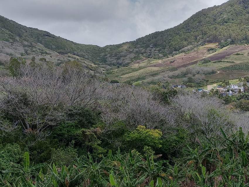 Agricultural land for sale  - 7 - Land  on Aster Vender