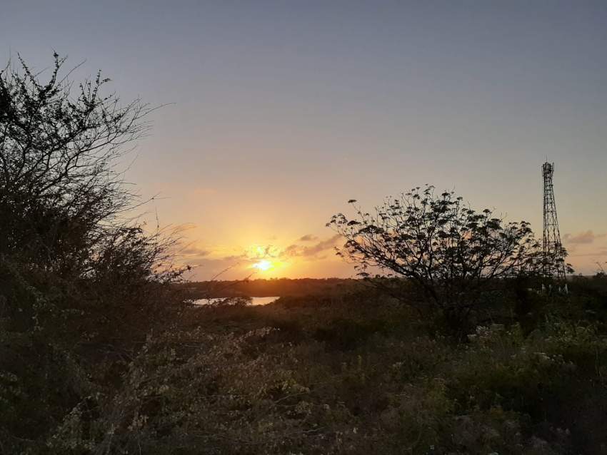 Land for sale at Camp Rannoo Belle Mare - 0 - Land  on Aster Vender