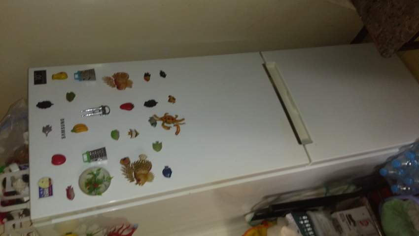 Vender - 0 - Kitchen appliances  on Aster Vender