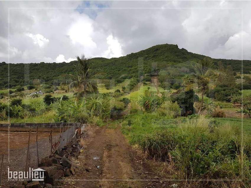 **50 Perches Agricultural land, Congomah** - 0 - Land  on Aster Vender