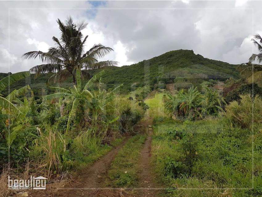 **50 Perches Agricultural land, Congomah** - 1 - Land  on Aster Vender