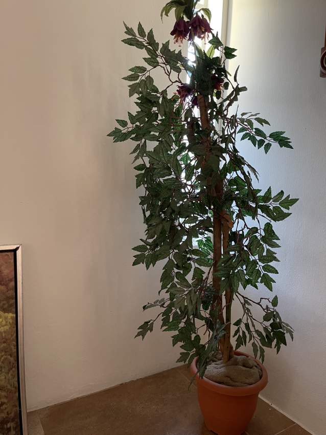 Artificial plant  - 0 - Others  on Aster Vender