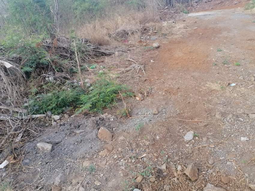 Terrain - 50 toises - Albion - 57506031 - 0 - Land  on Aster Vender