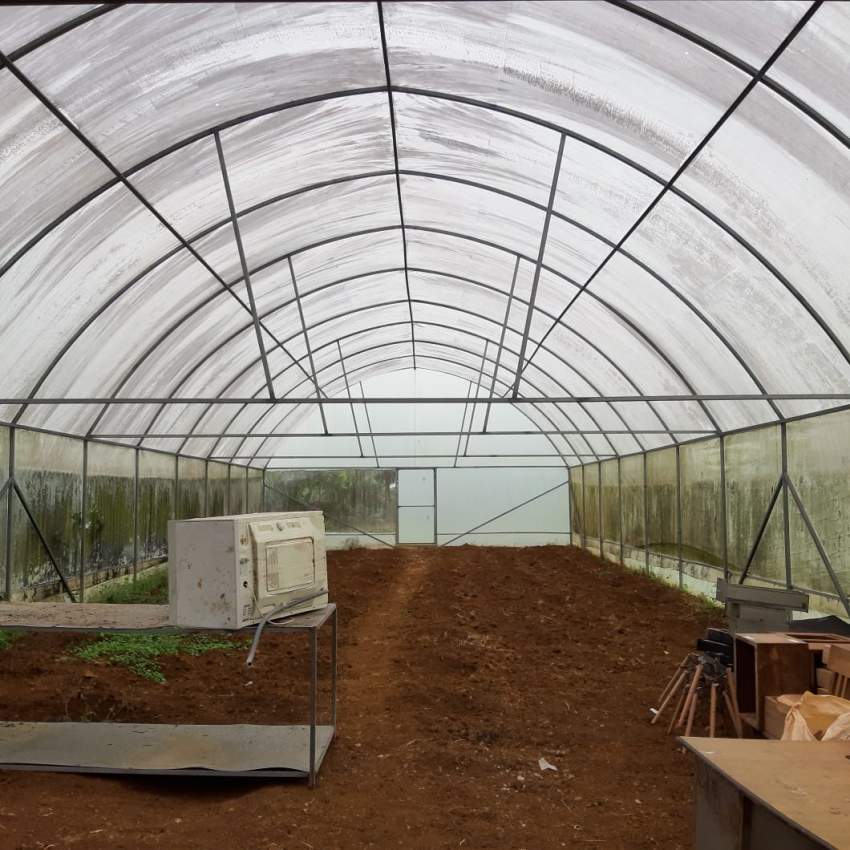 Green house  - 0 - Others  on Aster Vender