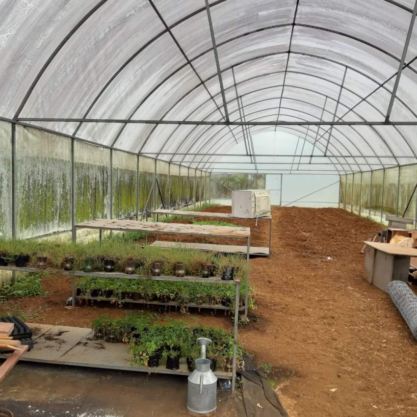 Green house  - 1 - Others  on Aster Vender