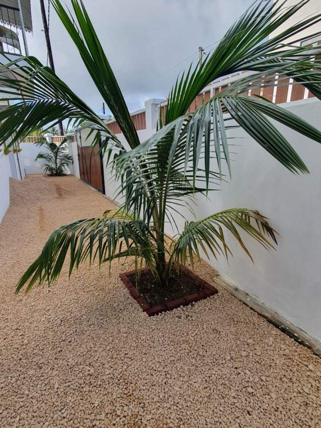 Appartements  in Pereybere  - 2 - Apartments  on Aster Vender