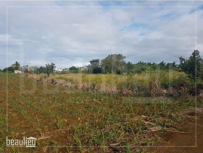 2 plots of 20 Perches & 26.9 Perches Residential Land in Riche Mare Fl - 1 - Land  on Aster Vender