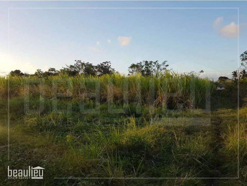 37.5 perches Residential land in L’esperance Trebuchet (North)  - 3 - Land  on Aster Vender