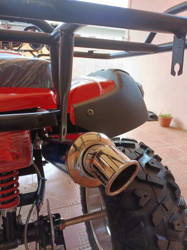 250 CC Quad Bike- Manual - 1 - Quad bikes  on Aster Vender