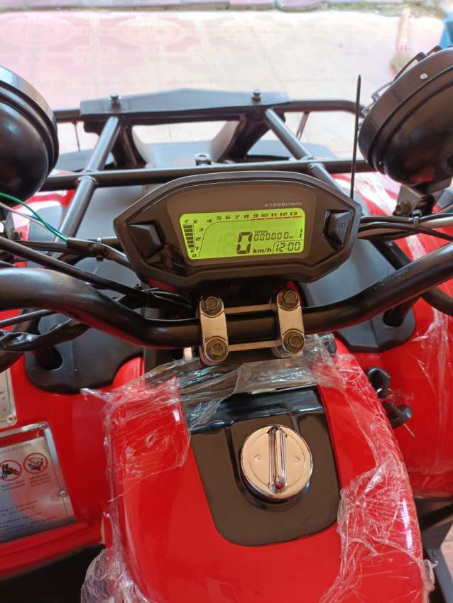250 CC Quad Bike- Manual - 3 - Quad bikes  on Aster Vender
