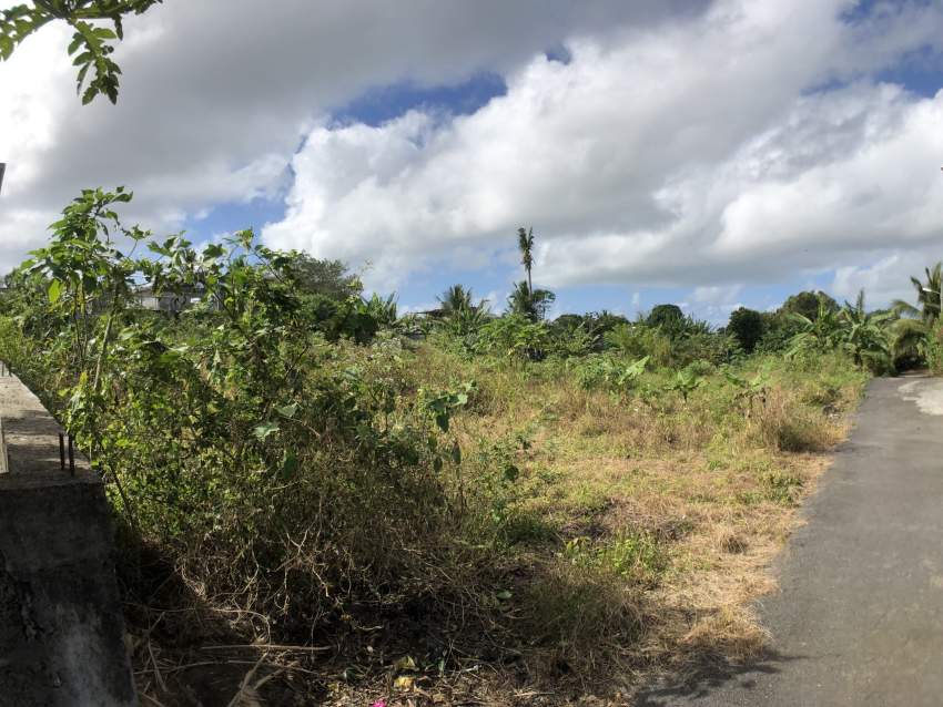 Residential land - 12 Poles - Caroline - 3 - Land  on Aster Vender