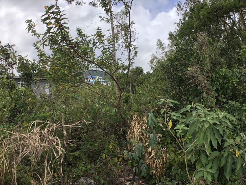 Terrain Residentiel - 17 perches - Petite Cabane - 2 - Land  on Aster Vender