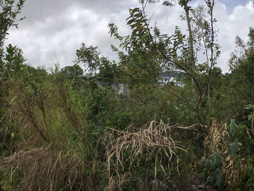 Terrain Residentiel - 17 perches - Petite Cabane - 3 - Land  on Aster Vender