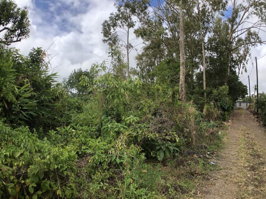 Terrain Residentiel - 17 perches - Petite Cabane - 0 - Land  on Aster Vender