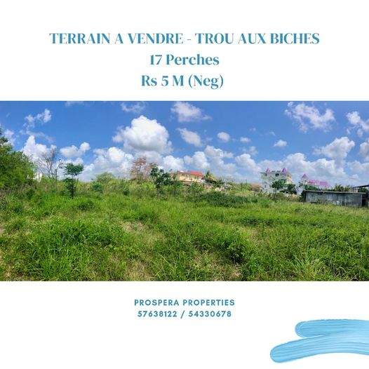LAND ON SALE AT TROU AUX BICHES / TERRAIN A VENDRE A TROU AUX BICHES  - 0 - Land  on Aster Vender