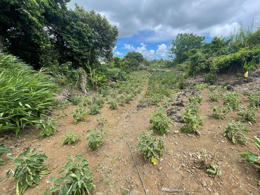 Residential Land For Sale - 1 - Land  on Aster Vender