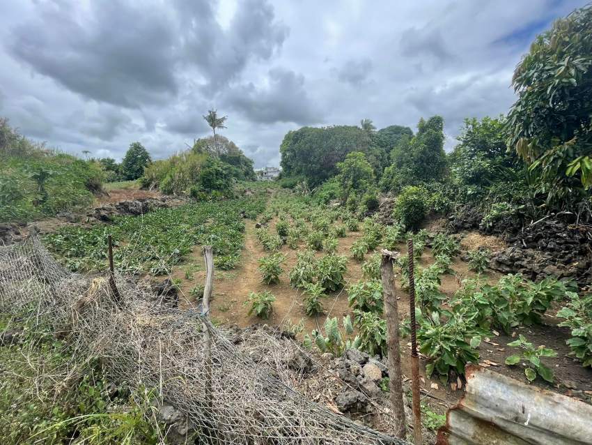 Residential Land For Sale - 4 - Land  on Aster Vender