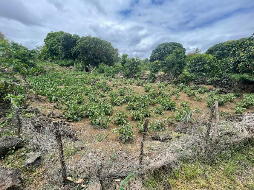 Residential Land For Sale - 5 - Land  on Aster Vender