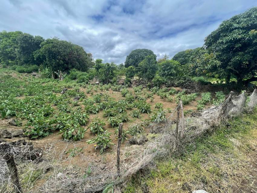 Residential Land For Sale - 3 - Land  on Aster Vender